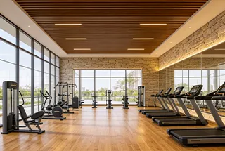 Gymnasium
